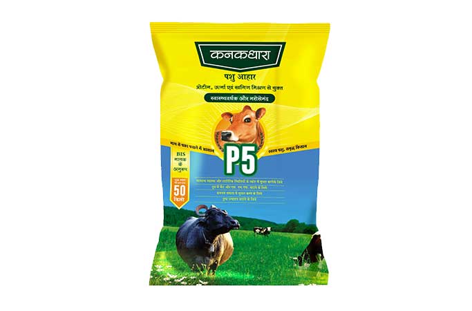 Free Template by uicookies.com