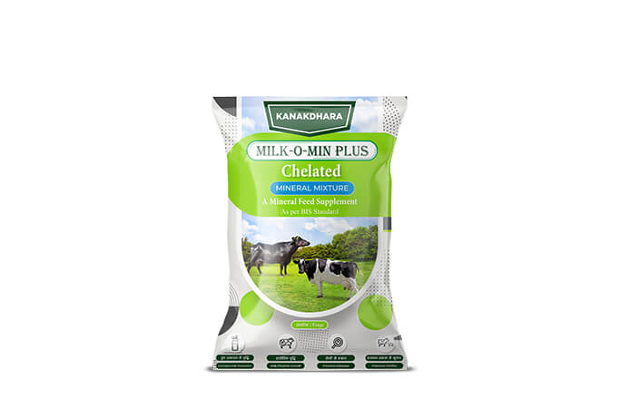 Free Template by uicookies.com